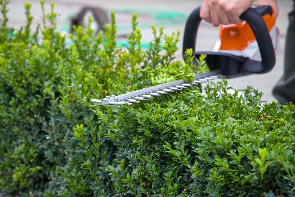 Gardening